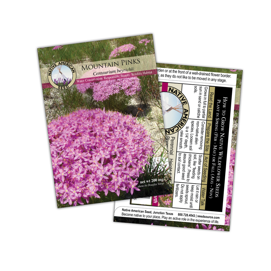 Native American Seed: Mountain Pinks Seed Packet